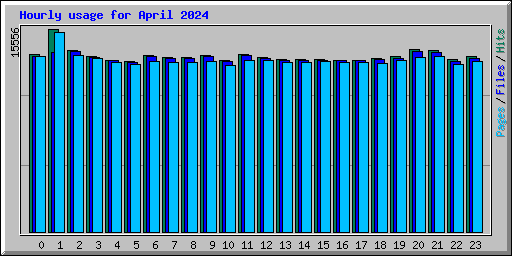 Hourly usage for April 2024