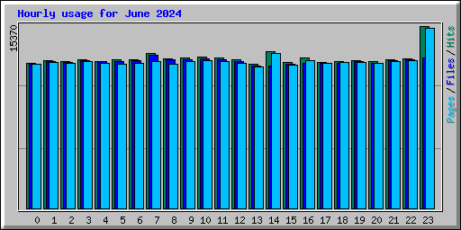 Hourly usage for June 2024