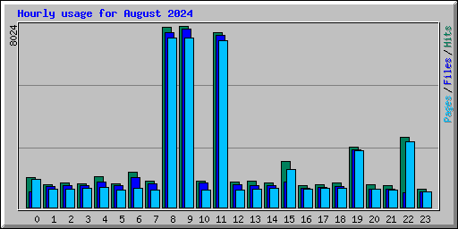 Hourly usage for August 2024