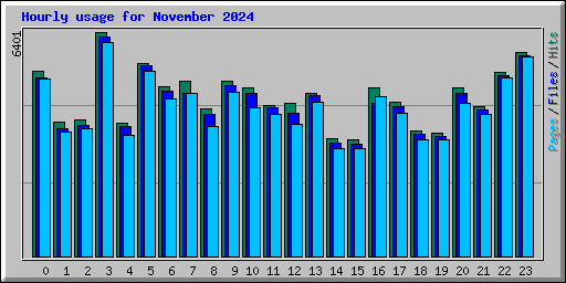 Hourly usage for November 2024