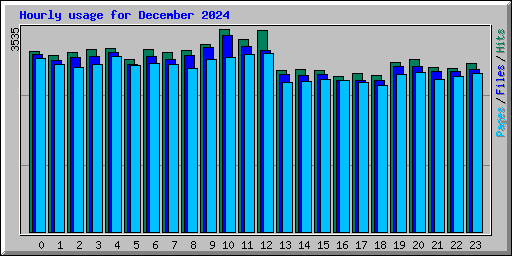 Hourly usage for December 2024