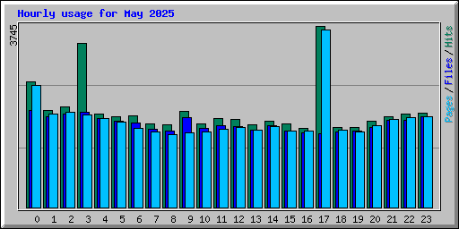 Hourly usage for May 2025
