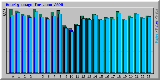 Hourly usage for June 2025