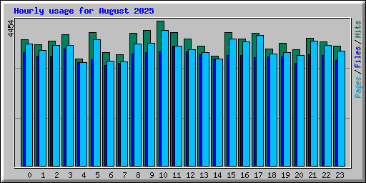 Hourly usage for August 2025