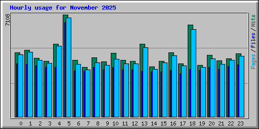Hourly usage for November 2025
