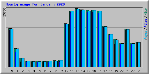 Hourly usage for January 2026