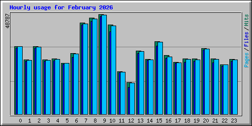 Hourly usage for February 2026
