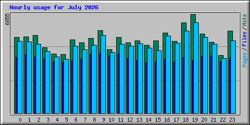 Hourly usage for July 2026