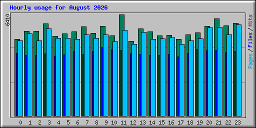 Hourly usage for August 2026